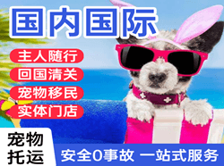 吴川机场邮寄国际宠物托运 【国